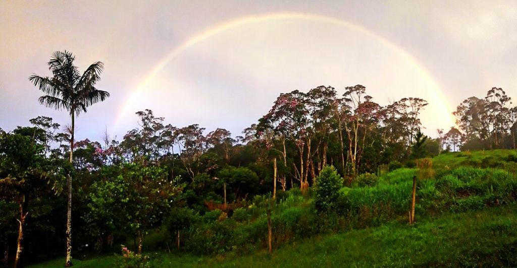 Pousada Recanto Dos Pinheiros Pilar do Sul المظهر الخارجي الصورة
