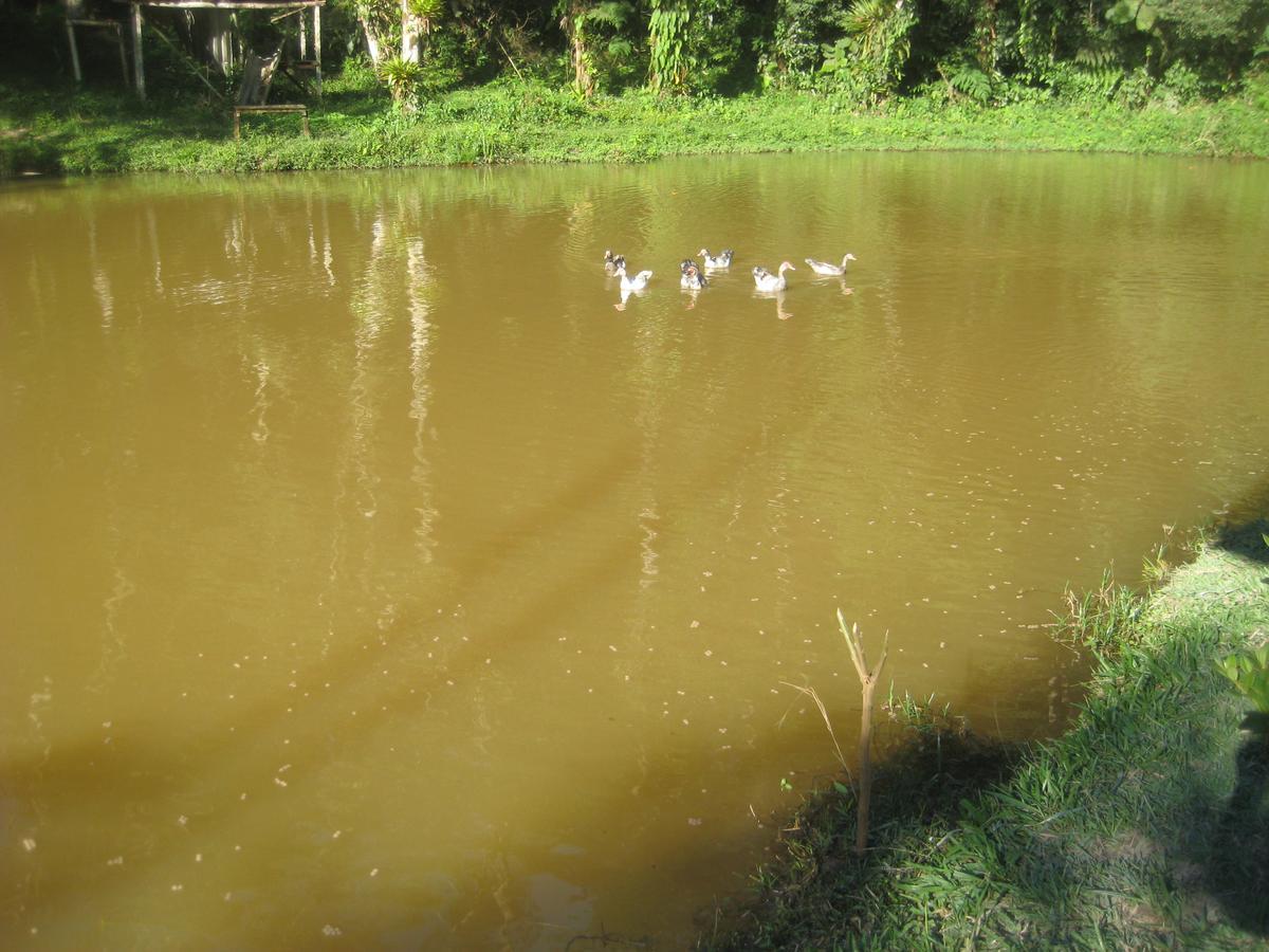 Pousada Recanto Dos Pinheiros Pilar do Sul المظهر الخارجي الصورة